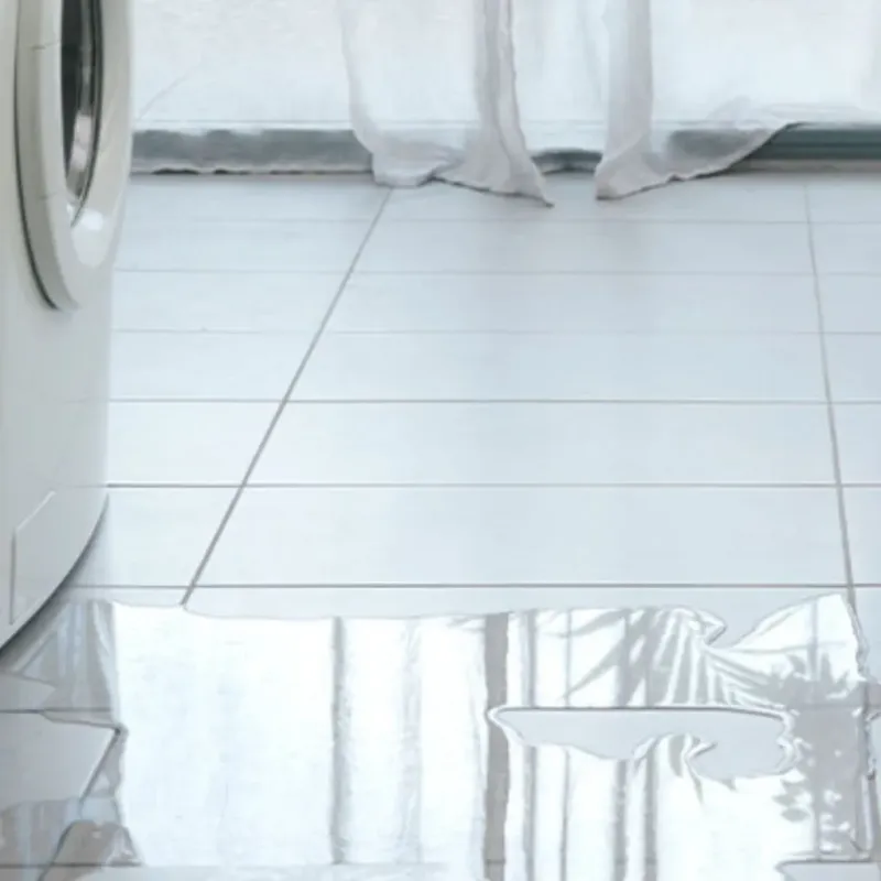 Appliance Leak Cleanup in Bridgeport, CA