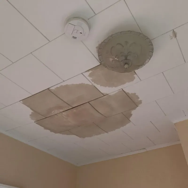 Ceiling Water Damage Repair in Bridgeport, CA